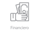 financiero13